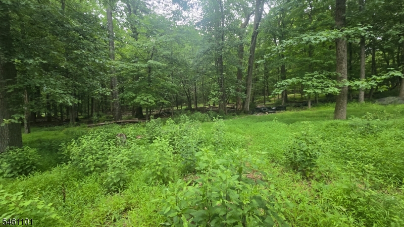 267 Zion Road Hillsborough NJ 08844