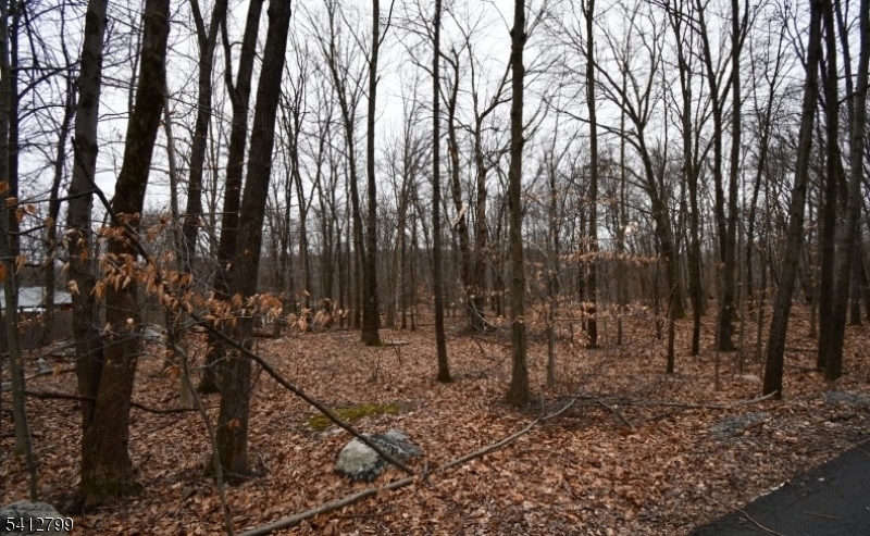 2 Brook Drive Blairstown NJ 07825