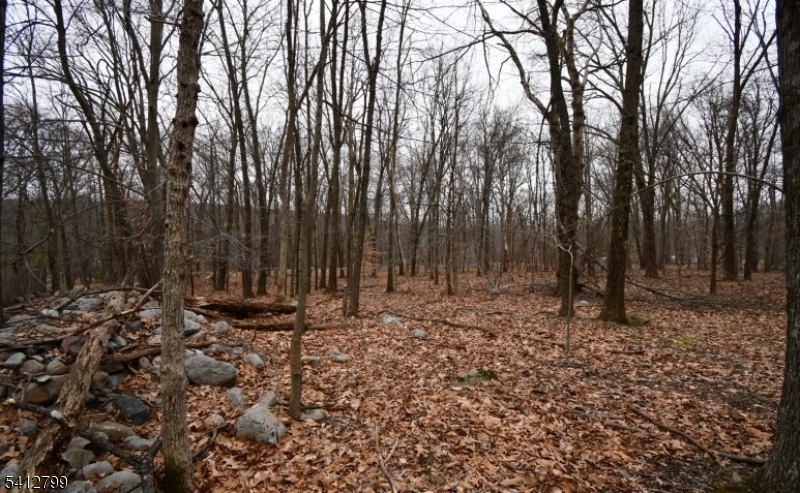 2 Brook Drive Blairstown NJ 07825