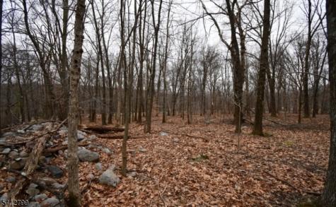 2 Brook Drive Blairstown NJ 07825
