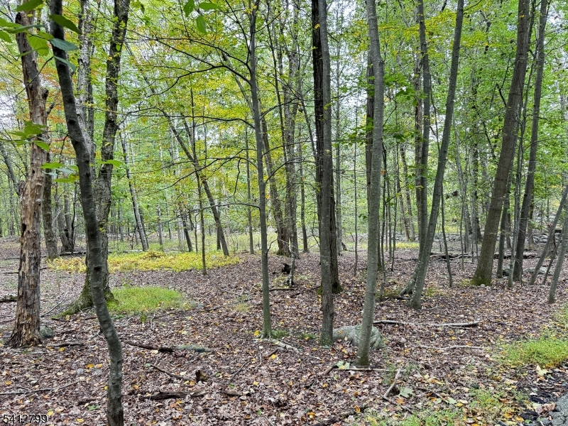 2 Brook Drive Blairstown NJ 07825