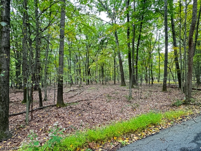 2 Brook Drive Blairstown NJ 07825