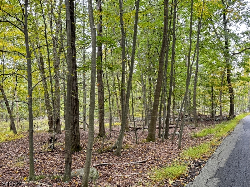 2 Brook Drive Blairstown NJ 07825