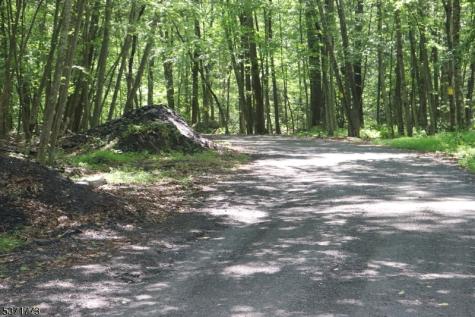 26 Fawn Run Montague NJ 07827