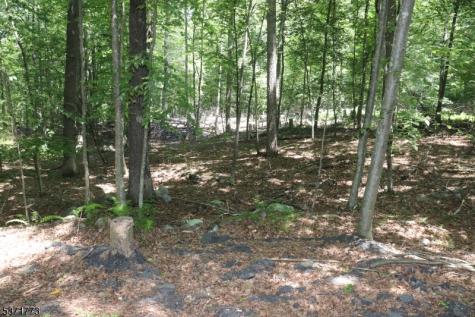 26 Fawn Run Montague NJ 07827