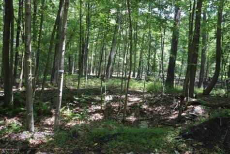 26 Fawn Run Montague NJ 07827