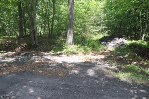 26 Fawn Run Montague NJ 07827
