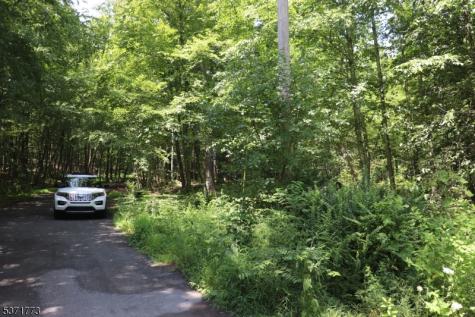 26 Fawn Run Montague NJ 07827