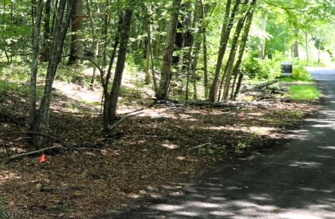 26 Fawn Run Montague NJ 07827