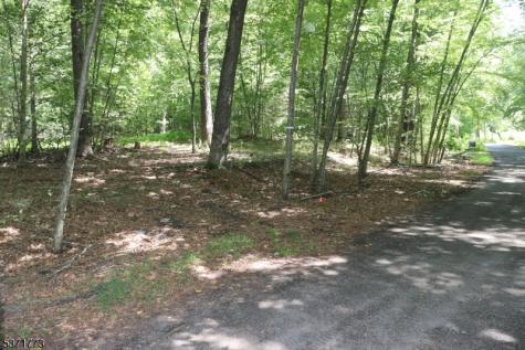 26 Fawn Run Montague NJ 07827