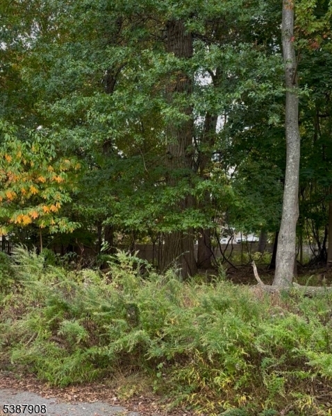 Oakwood Avenue Pequannock NJ 07440