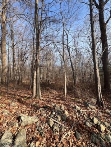 3 Old Bilby Road Independence NJ 07840