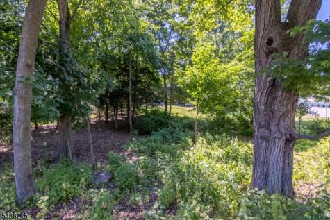 234 Ridge Road Cedar Grove NJ 07009