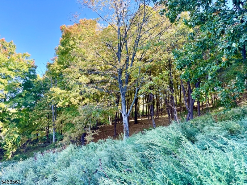 109 Munsonhurst Road Franklin NJ 07416