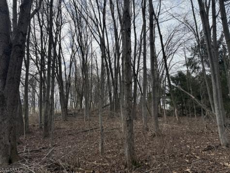 36 Countryside Road Knowlton NJ 07832