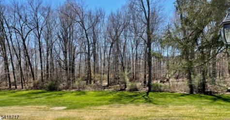 47 Britten Road Chatham NJ 07935