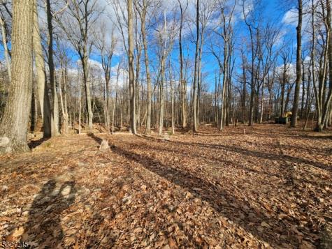 34 Starlight Drive Morris NJ 07960