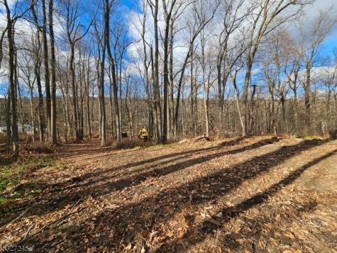 34 Starlight Drive Morris NJ 07960