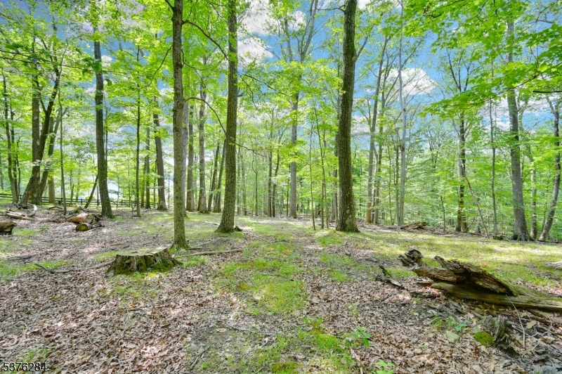 51 Paulinskill Lake Road Fredon NJ 07860