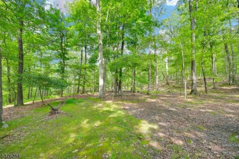 51 Paulinskill Lake Road Fredon NJ 07860