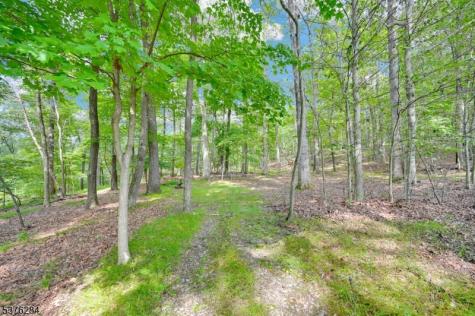 51 Paulinskill Lake Road Fredon NJ 07860