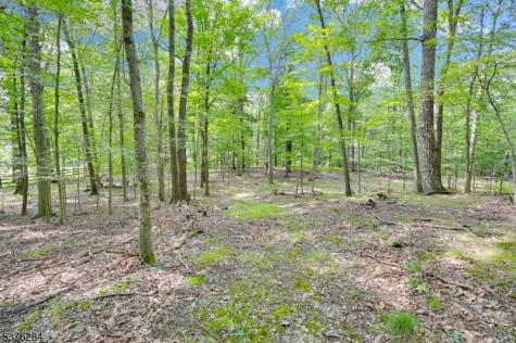 51 Paulinskill Lake Road Fredon NJ 07860