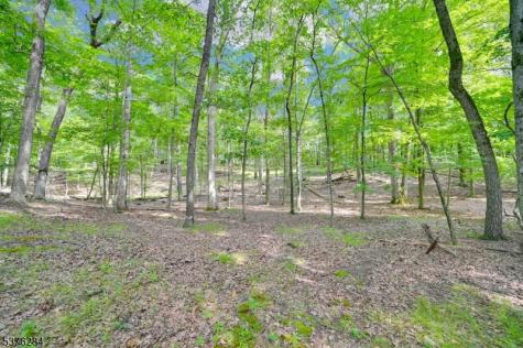 51 Paulinskill Lake Road Fredon NJ 07860