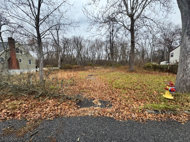 32 Lake Shore Drive Parsippany-troy Hills NJ 07034