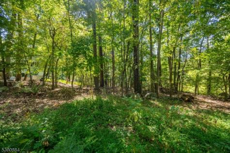 6 Ridge Road Vernon NJ 07461