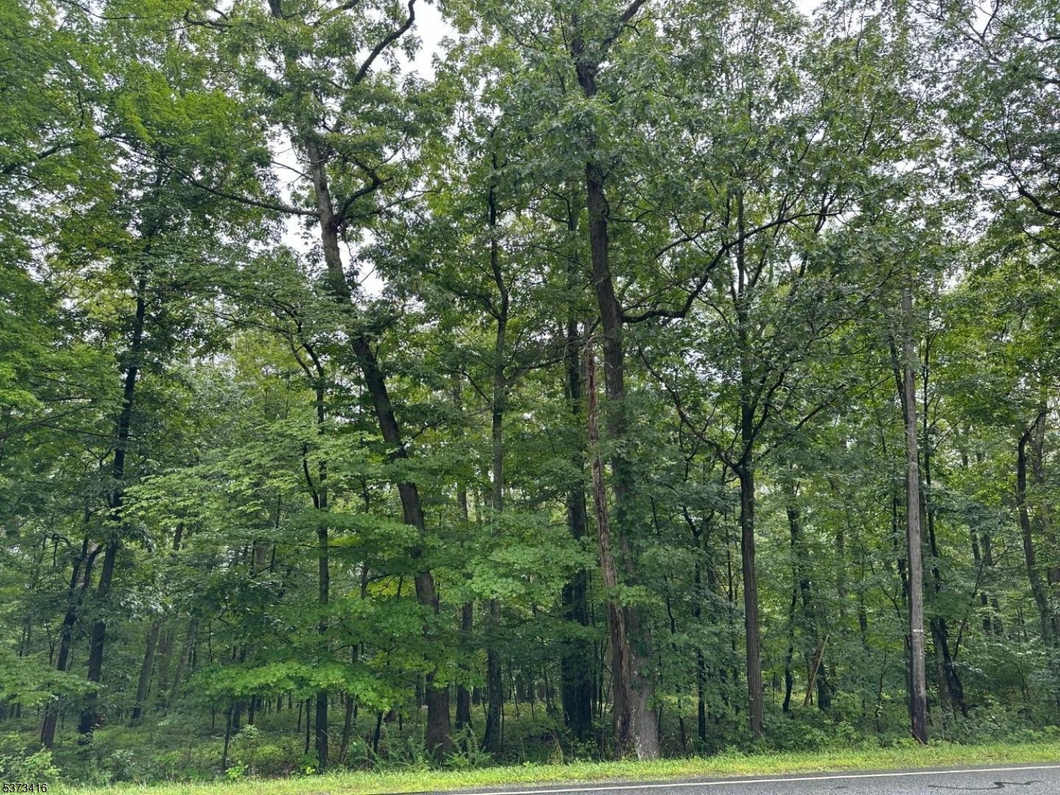 220 Mattison Reservoir Avenue Frankford NJ 07826