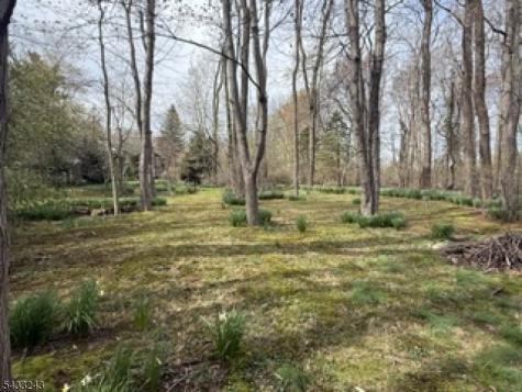 691 Ridgedale Avenue East Hanover NJ 07936