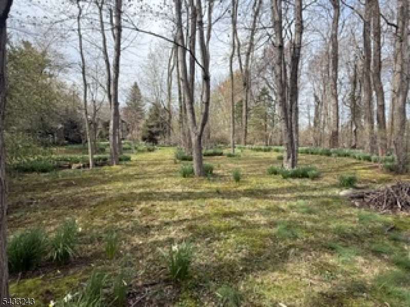 691 Ridgedale Avenue East Hanover NJ 07936