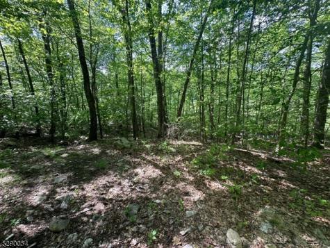 Gladstone Road West Milford NJ 07421