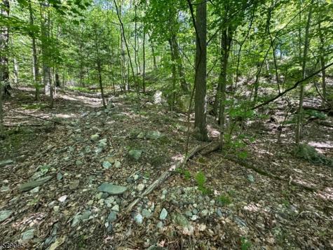 Gladstone Road West Milford NJ 07421