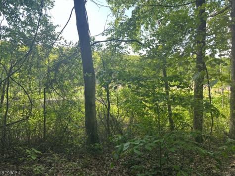 Gladstone Road West Milford NJ 07421