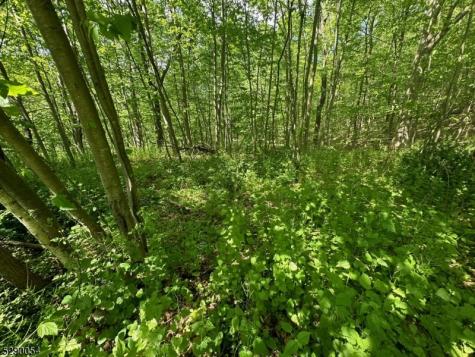 Gladstone Road West Milford NJ 07421