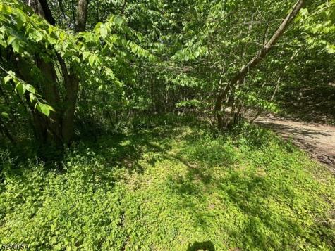 Gladstone Road West Milford NJ 07421