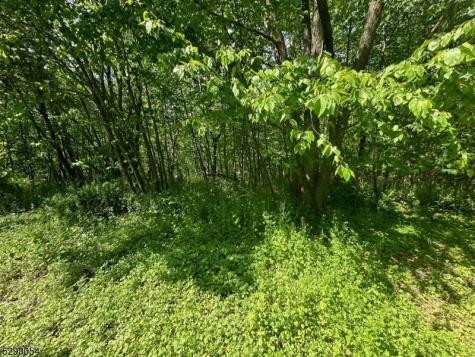 Gladstone Road West Milford NJ 07421