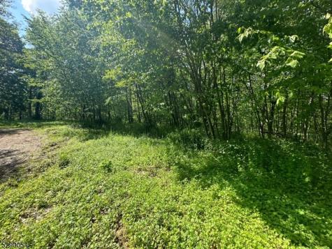 Gladstone Road West Milford NJ 07421