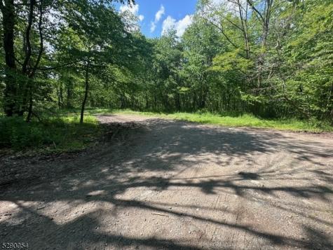 Gladstone Road West Milford NJ 07421