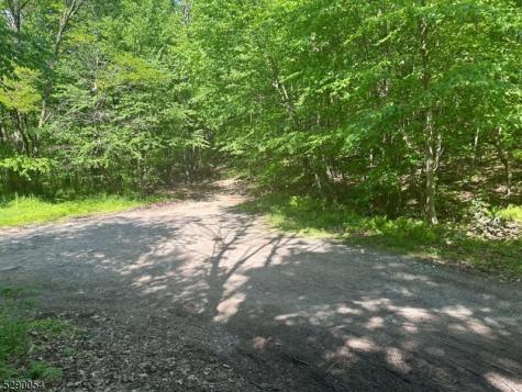 Gladstone Road West Milford NJ 07421