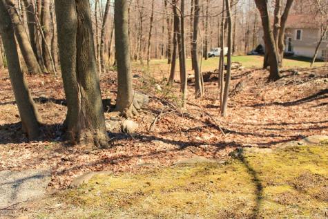 556 Glen Road Sparta NJ 07871