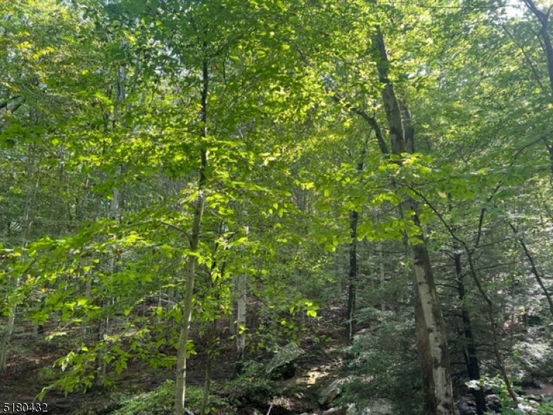 U.s. 46 Mine Hill NJ 07803