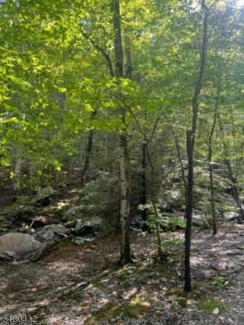 U.s. 46 Mine Hill NJ 07803