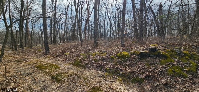 Upper Hibernia Road Rockaway NJ 07866