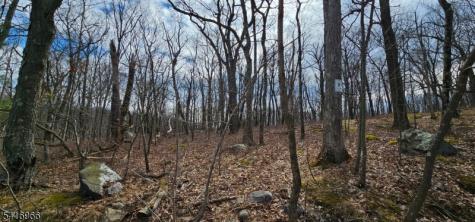 Upper Hibernia Road Rockaway NJ 07866