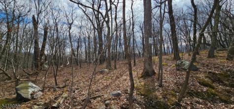 Upper Hibernia Road Rockaway NJ 07866