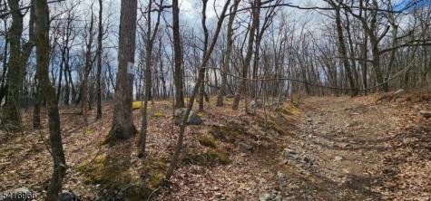 Upper Hibernia Road Rockaway NJ 07866