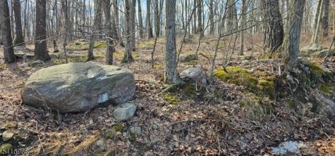 Upper Hibernia Road Rockaway NJ 07866