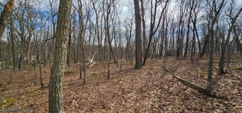 Upper Hibernia Road Rockaway NJ 07866